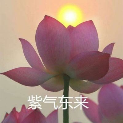 中超英雄腾讯版下载